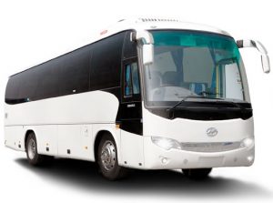 Harga Sewa Bus Pariwisata Kapasitas 30 Orang / 30 Seat Di Lombok