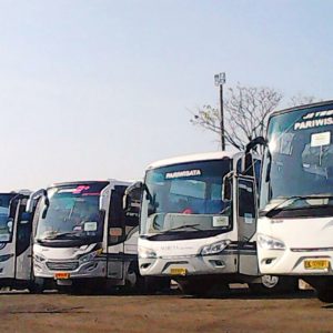 Sewa Bus Pariwisata Lombok